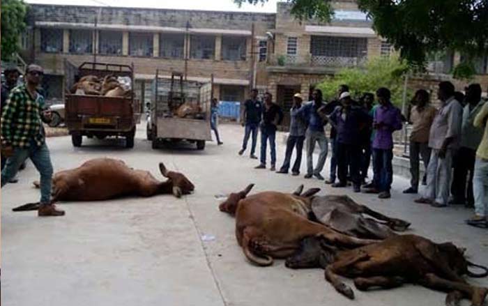 गुजरात के भाईयों के नाम ‘दलित दस्तक’ का खत