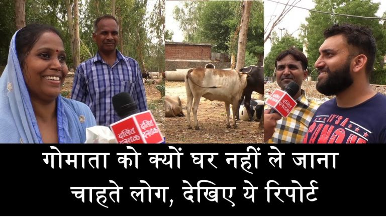 गोमाता को क्यों घर नहीं ले जाना चाहते लोग, देखिए ये रिपोर्ट