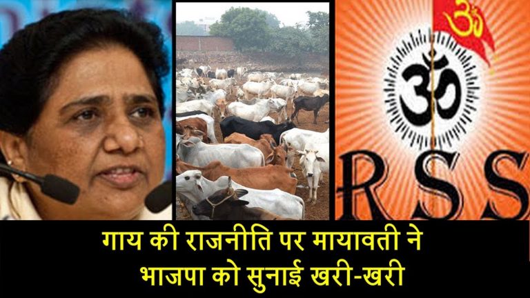 गाय की राजनीति पर मायावती ने BJP और RSS को सुनाई खरी-खरी