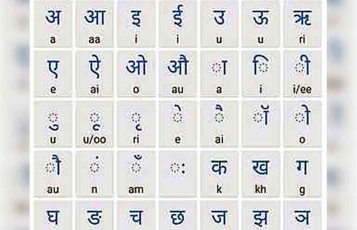 गोरक्षा की तरह हिंदी रक्षा न करें…