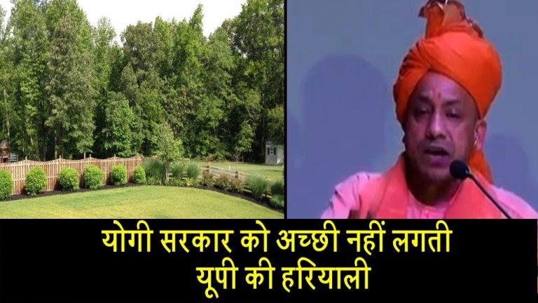 योगी सरकार को अच्छी नहीं लगती यूपी की हरियाली