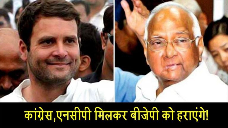 भाजपा को हराने के लिए राहुल-शरद साथ!
