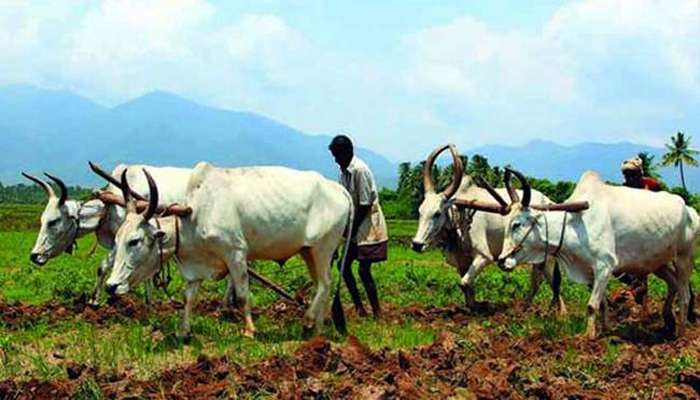 वर्तमान कृषि संकट और उसका समाधान