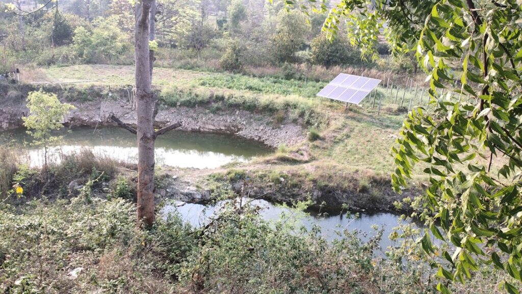 मुर्गी पालन का काम युवाओं को खूब भा रहा है, इससे आदिवासी युवा आत्मनिर्भर होने लगे हैं